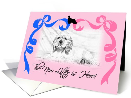 New Litter Announcement - American Cocker Spaniel card (809395)