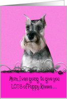 Mother’s Day Licker License - featuring a Miniature Schnauzer card