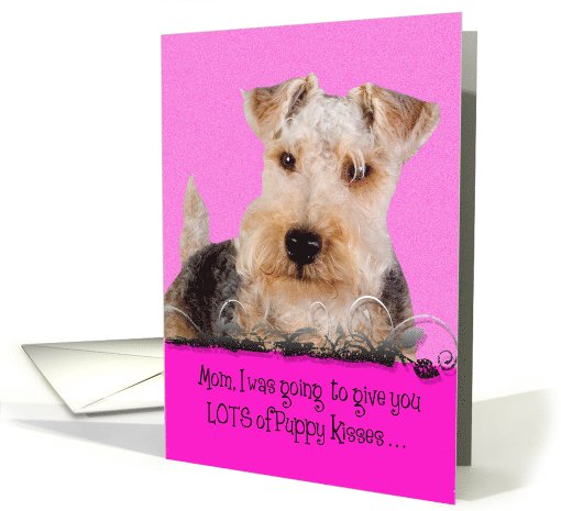 Mother's Day Licker License - featuring a Lakeland Terrier card