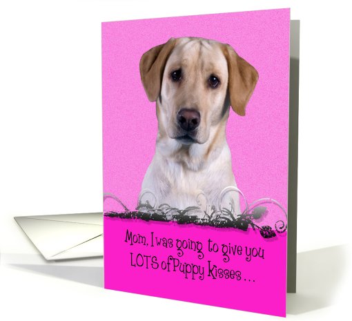 Mother's Day Licker License - featuring a yellow Labrador... (809707)
