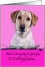 Mother’s Day Licker License - featuring a yellow Labrador Retriever card