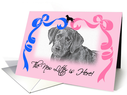 New Litter Announcement - Labrador Retriever card (809857)