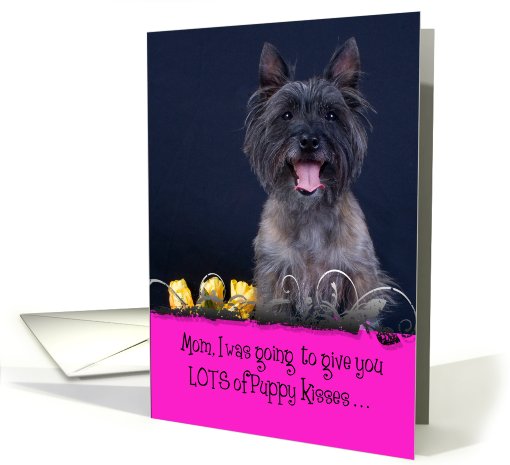 Mother's Day Licker License - featuring a Cairn Terrier card (812306)