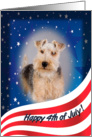 July 4th - featuring a Lakeland Terrier card