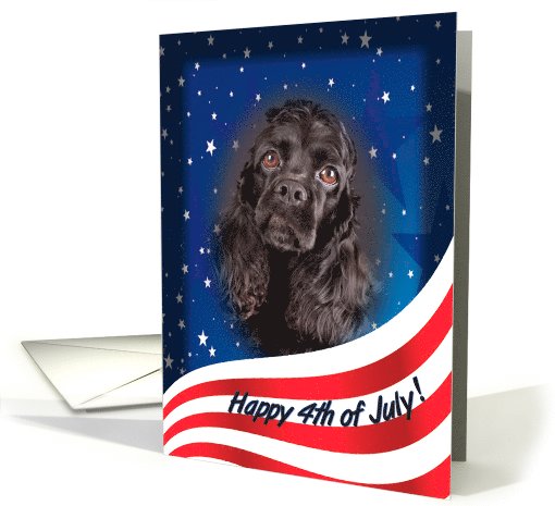 July 4th Card - featuring a black Cocker Spaniel card (818918)