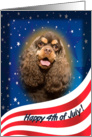 July 4th Card - featuring a chocolate/tan Cocker Spaniel card