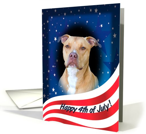 July 4th Card - featuring an American Staffordshire Terrier card
