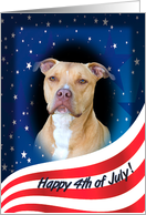 July 4th Card - featuring an American Staffordshire Terrier card