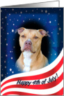 July 4th Card - featuring an American Staffordshire Terrier card