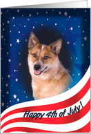 July 4th Card - featuring an Australian Cattle Dog card