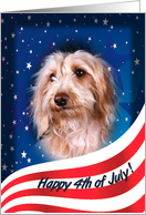 July 4th Card - featuring a wirehaired Dachshund card