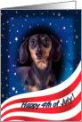 July 4th Card - featuring a smooth black and tan Dachshund card
