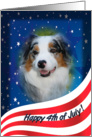 July 4th Card - featuring a blue merle Australian Shepherd card