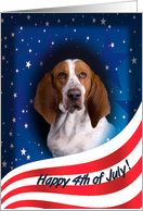 July 4th Card - featuring a Basset Hound card