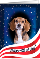 July 4th Card - featuring a Beagle card