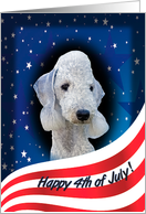 July 4th Card - featuring a Bedlington Terrier card