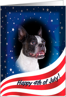 July 4th Card - featuring a Boston Terrier card