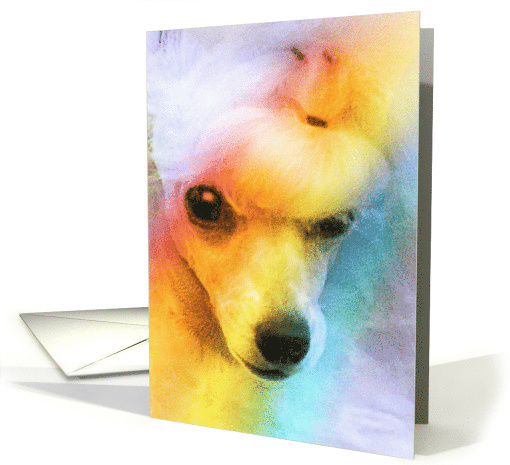 Sympathy Loss of Pet - featuring a Toy Poodle card (820812)
