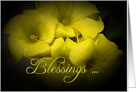 Blessings - for new...