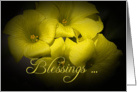 Blessings - for new business card