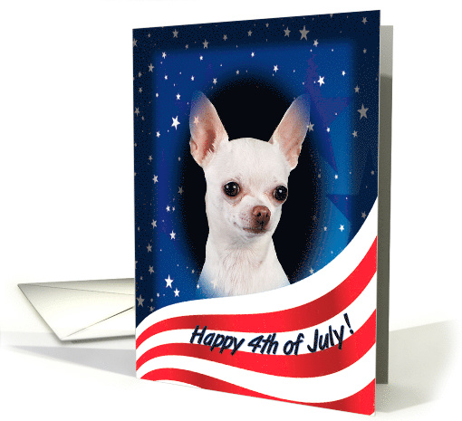 July 4th Card - featuring a white smooth Chihuahua card (823310)