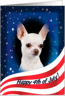 July 4th Card - featuring a white smooth Chihuahua card