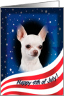 July 4th Card - featuring a white smooth Chihuahua card