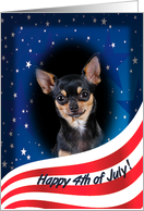 July 4th Card - featuring a black and tan smooth Chihuahua card
