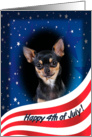 July 4th Card - featuring a black and tan smooth Chihuahua card