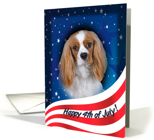 July 4th Card - featuring a Cavalier King Charles Spaniel card