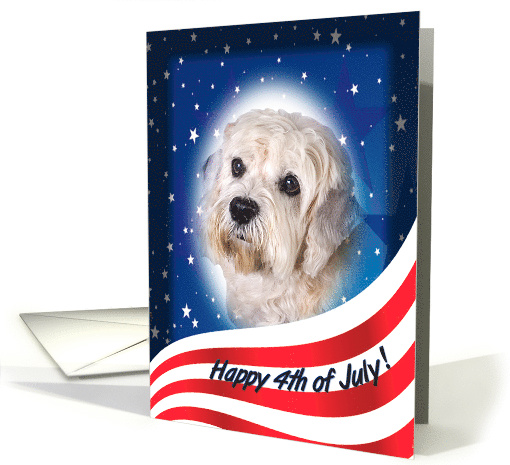 July 4th Card - featuring a Dandie Dinmont Terrier card (823327)