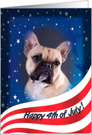 July 4th Card - featuring a French Bulldog card