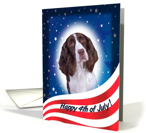 July 4th Card - featuring a liver/white English Springer Spaniel card