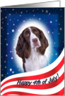 July 4th Card - featuring a liver/white English Springer Spaniel card