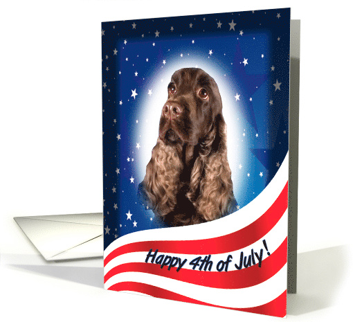 July 4th Card - featuring a liver English Cocker Spaniel card (823335)
