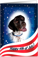 July 4th Card - featuring a German Shorthaired Pointer card