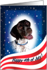 July 4th Card - featuring a German Shorthaired Pointer card