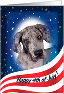 July 4th Card - featuring a Great Dane puppy card