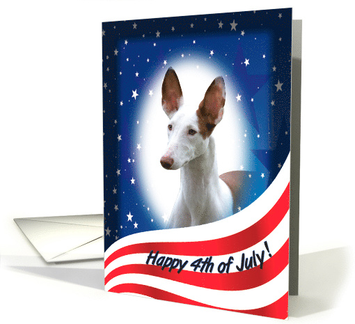 July 4th Card - featuring an Ibizan Hound card (823381)