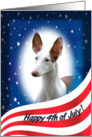 July 4th Card - featuring an Ibizan Hound card