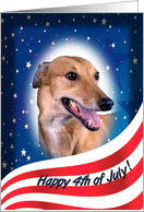 July 4th Card - featuring a Greyhound card