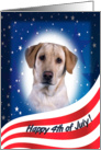 July 4th Card - featuring a yellow Labrador Retriever card