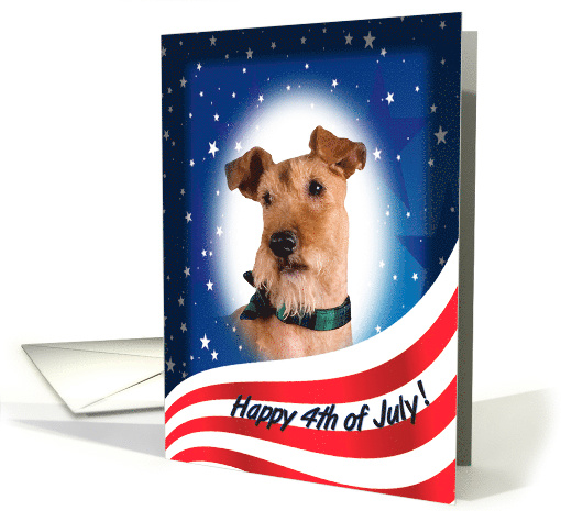 July 4th Card - featuring an Irish Terrier card (823397)