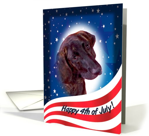 July 4th Card - featuring a Plott card (823402)