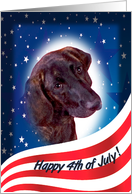 July 4th Card - featuring a Plott card