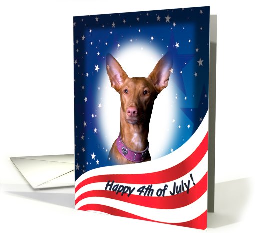 July 4th Card - featuring a Pharaoh Hound card (823403)