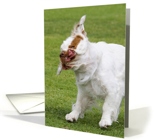 Encouragement Card - featuring a Clumber Spaniel card (823419)