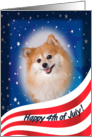 July 4th Card - featuring a Pomeranian card