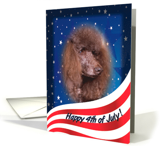 July 4th Card - featuring a Standard Poodle card (824085)