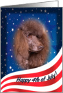 July 4th Card - featuring a Standard Poodle card